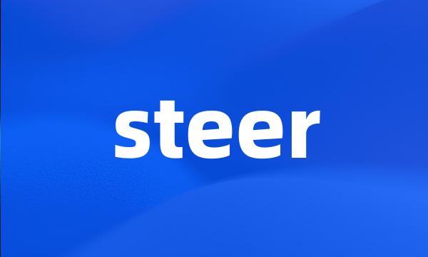 steer