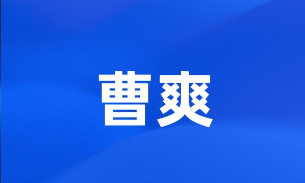 曹爽