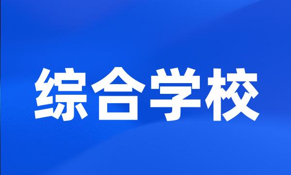 综合学校