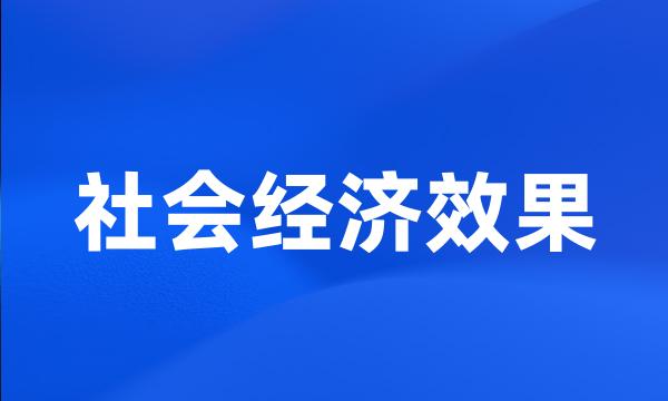 社会经济效果