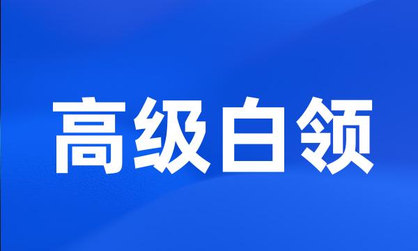 高级白领