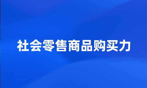 社会零售商品购买力