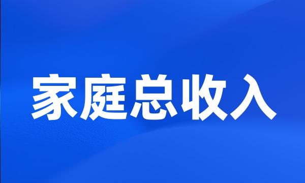 家庭总收入