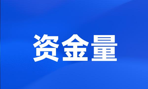 资金量