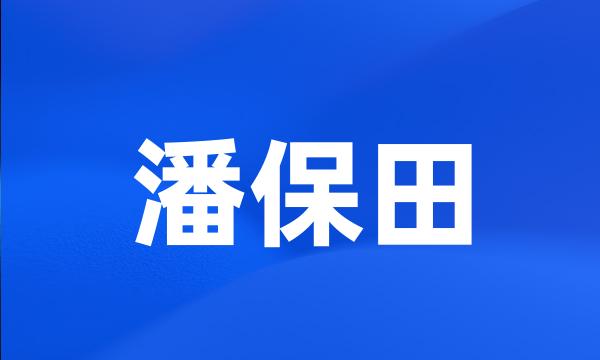 潘保田