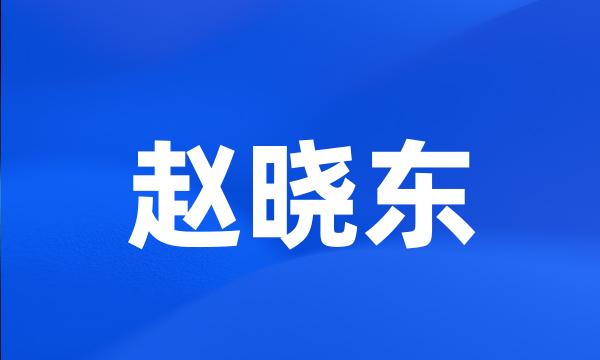 赵晓东