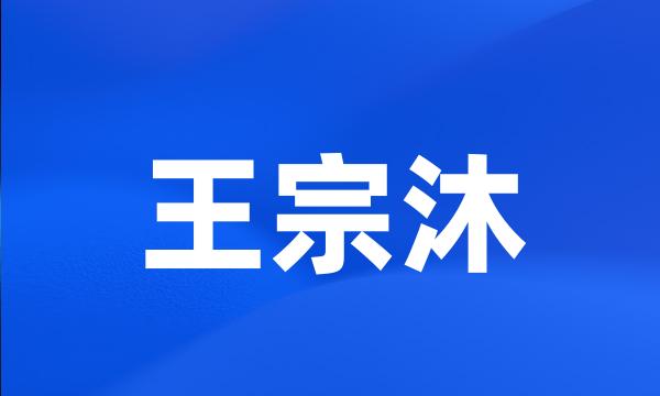 王宗沐