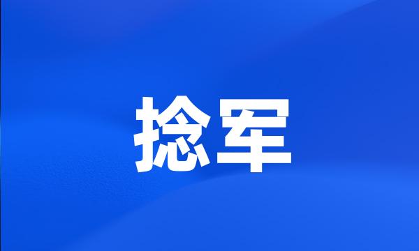 捻军