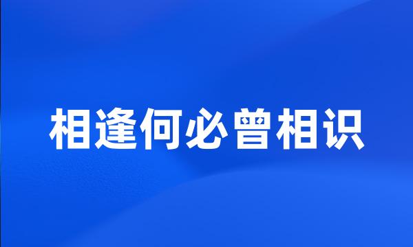 相逢何必曾相识