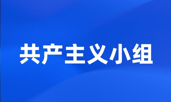 共产主义小组