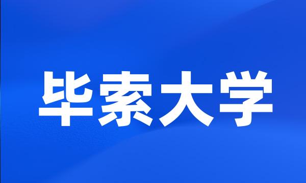 毕索大学