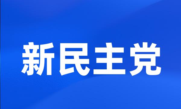 新民主党