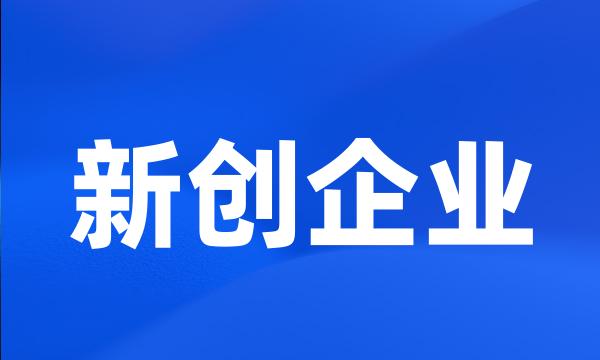 新创企业