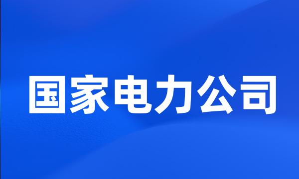 国家电力公司