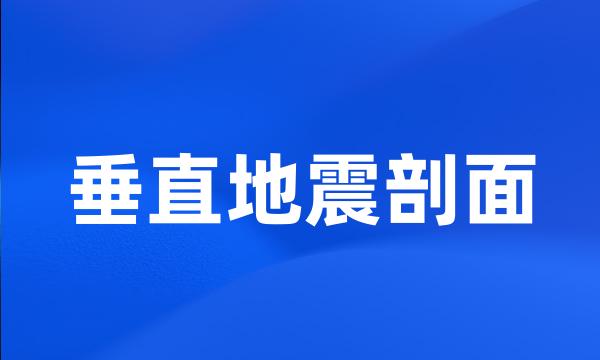 垂直地震剖面