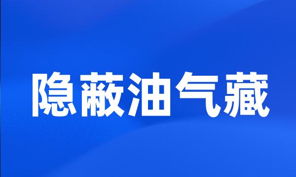 隐蔽油气藏