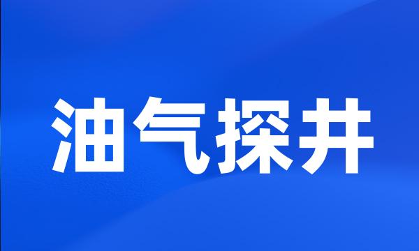 油气探井