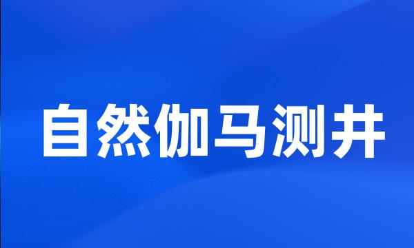 自然伽马测井