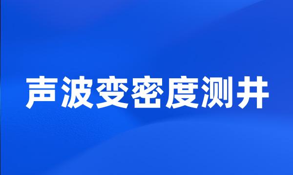 声波变密度测井