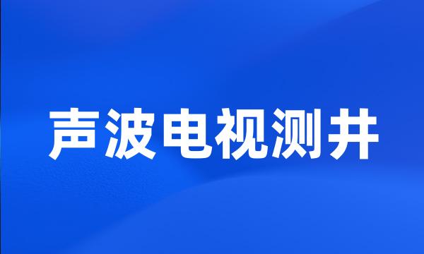 声波电视测井