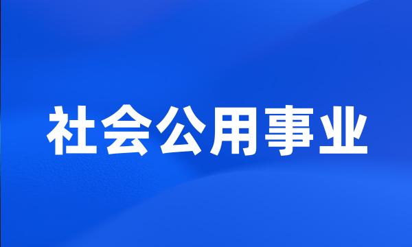 社会公用事业