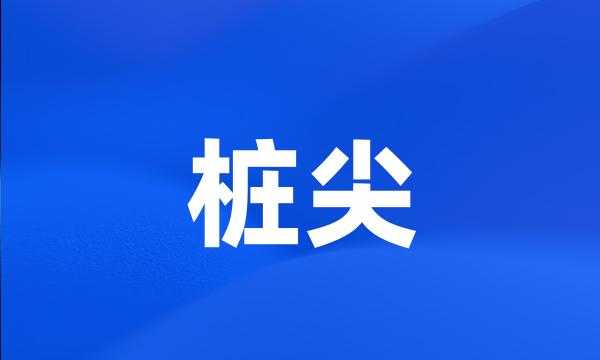 桩尖