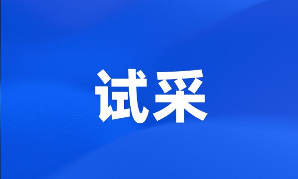 试采