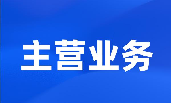 主营业务