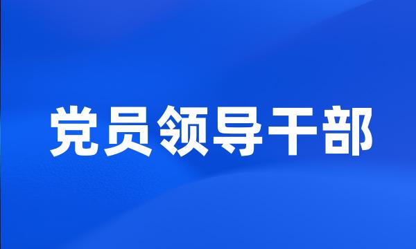 党员领导干部