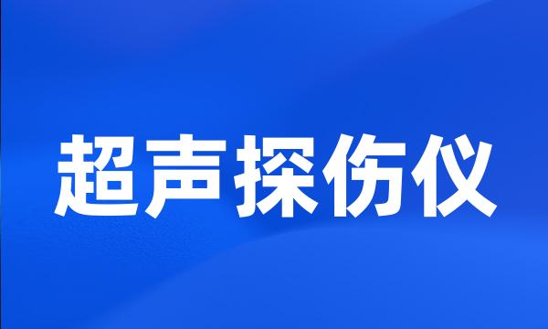 超声探伤仪