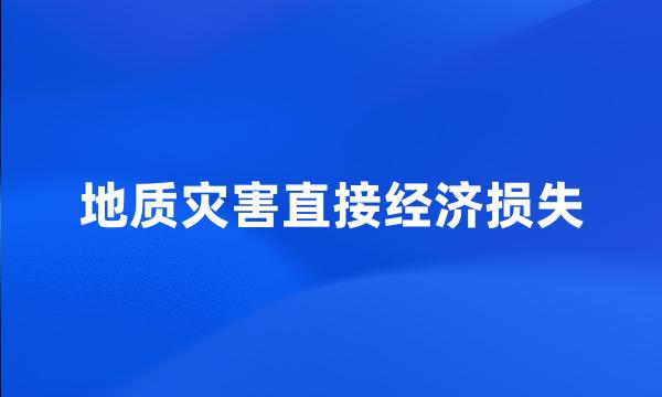 地质灾害直接经济损失