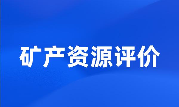 矿产资源评价