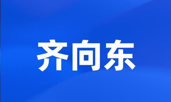 齐向东