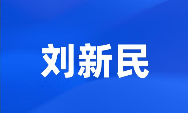 刘新民