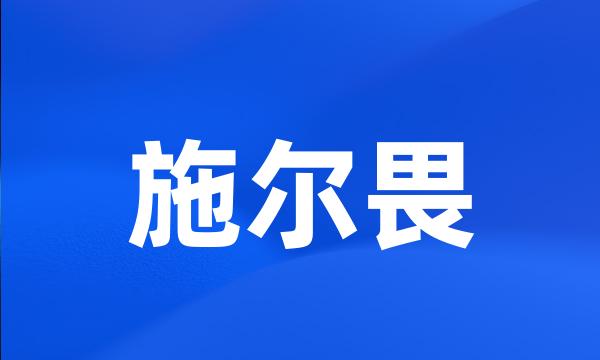 施尔畏