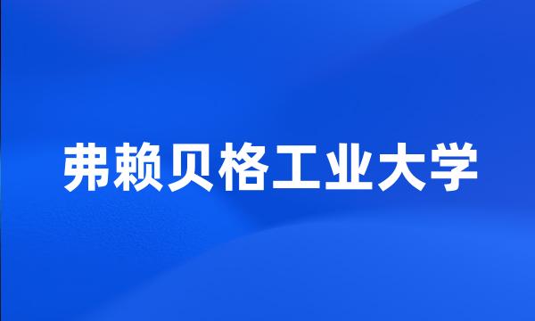 弗赖贝格工业大学