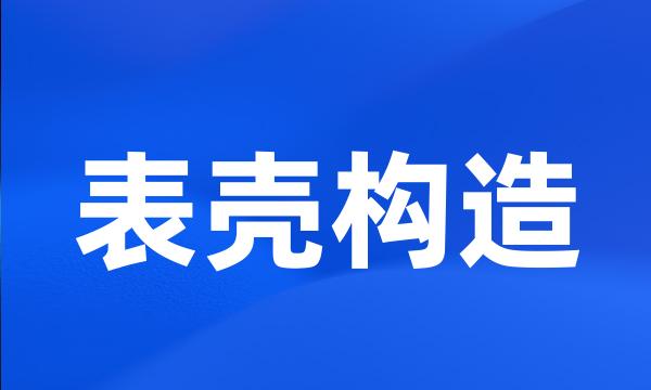 表壳构造