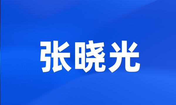 张晓光