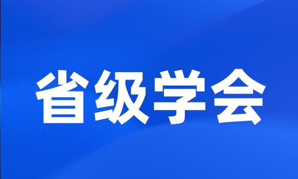 省级学会