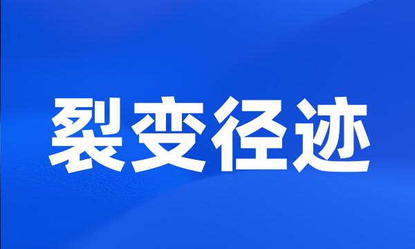 裂变径迹