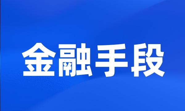 金融手段