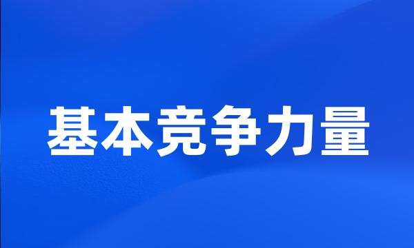 基本竞争力量