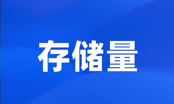 存储量