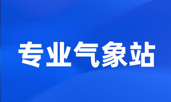 专业气象站