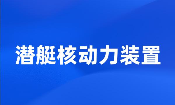 潜艇核动力装置