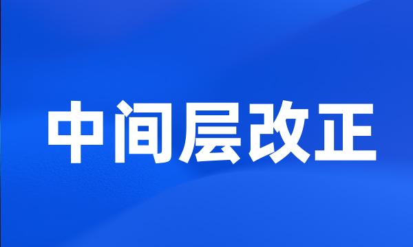 中间层改正