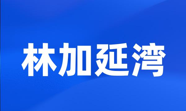 林加延湾