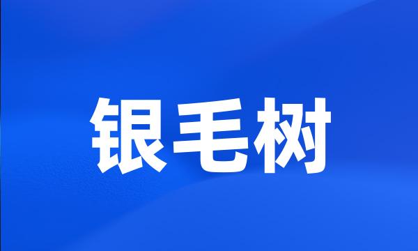 银毛树