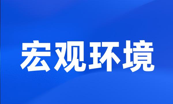 宏观环境