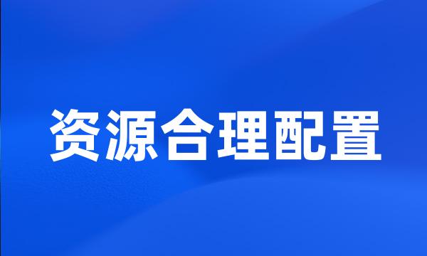 资源合理配置